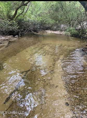 10.4 Acres of Recreational Land for Sale in Lucedale, Mississippi