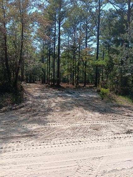 5 Acres of Residential Land for Sale in Townsend, Georgia