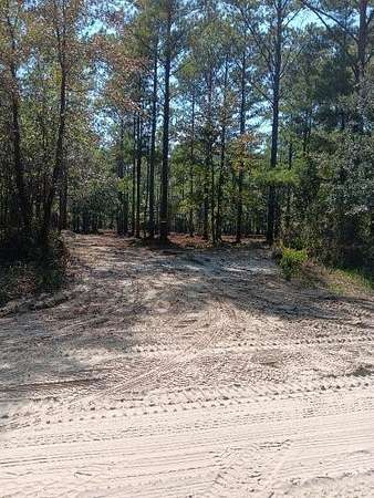 5 Acres of Residential Land for Sale in Townsend, Georgia