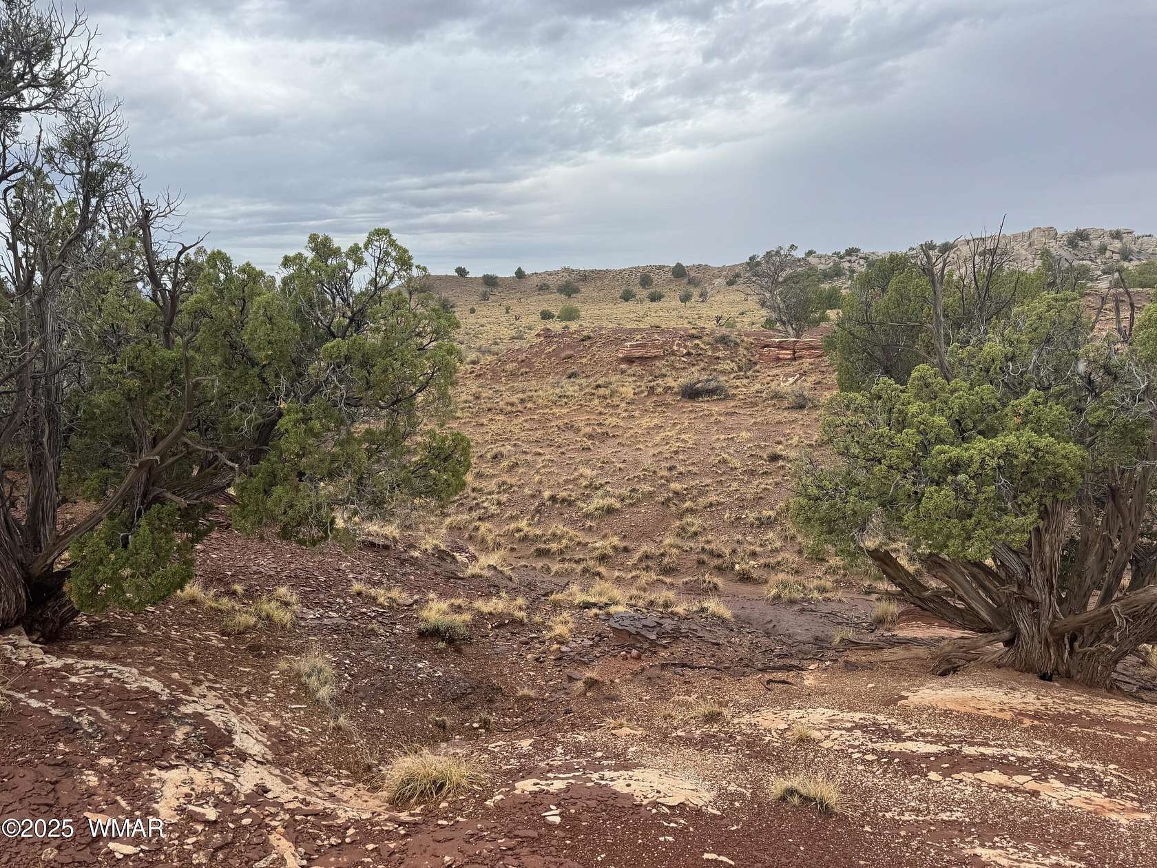 41.5 Acres of Recreational & Residential Land for Sale in Concho, Arizona