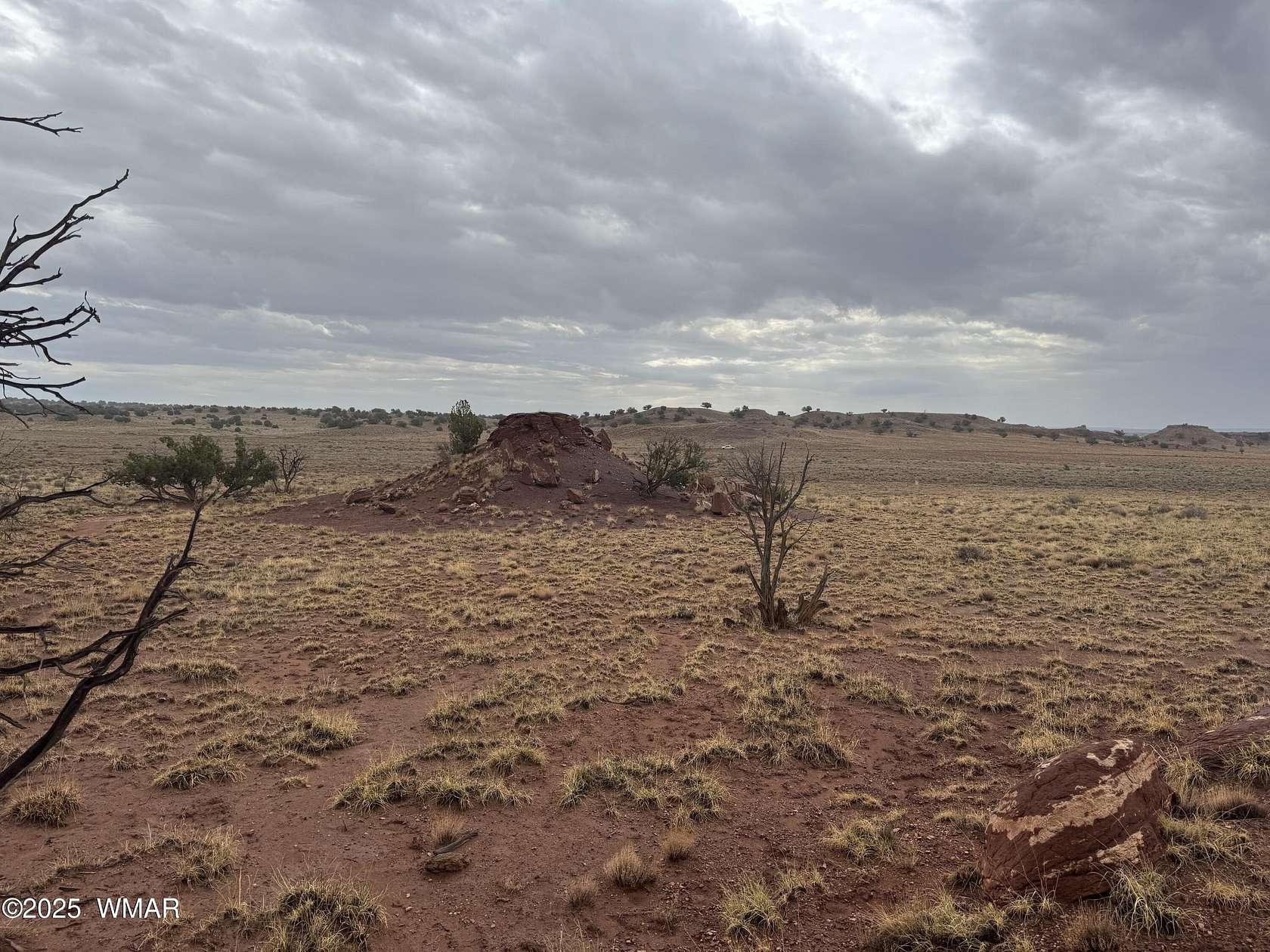 41.5 Acres of Land for Sale in Concho, Arizona