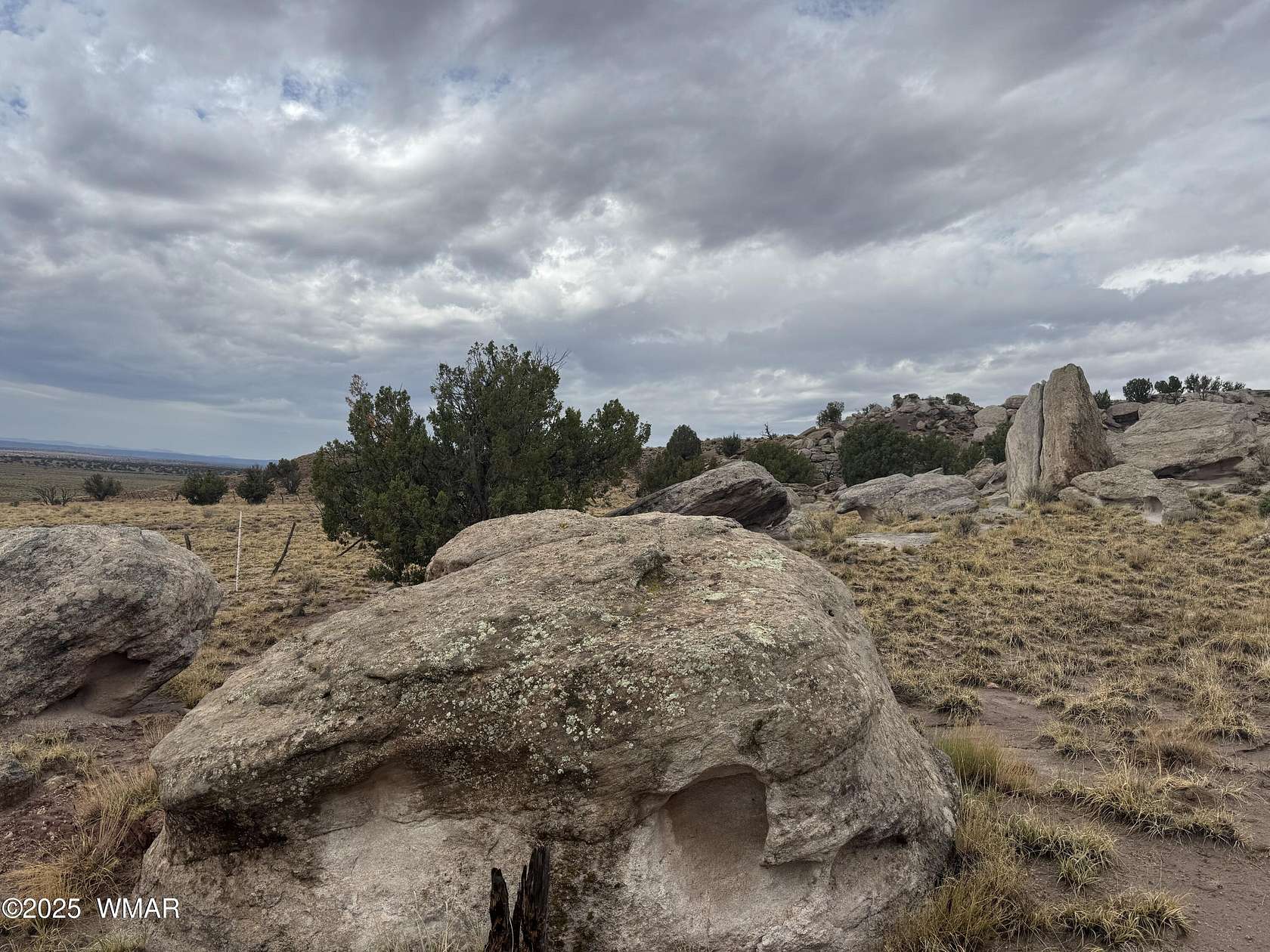 41.5 Acres of Recreational Land for Sale in Concho, Arizona