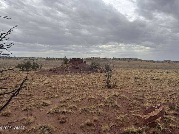 41.5 Acres of Land for Sale in Concho, Arizona
