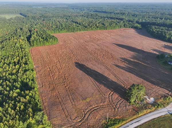 100 Acres of Land for Sale in New Albany, Mississippi