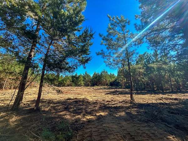 11 Acres of Agricultural Land for Sale in Long Branch, Texas