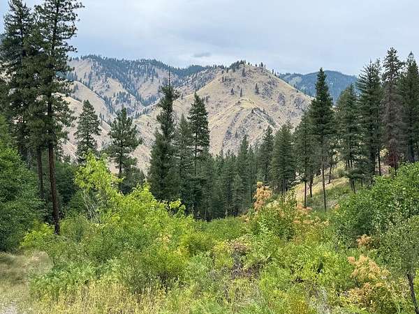 16 Acres of Recreational Land for Sale in Riggins, Idaho
