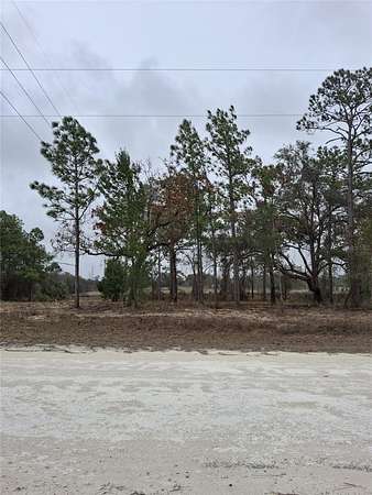 0.46 Acres of Residential Land for Sale in Weeki Wachee, Florida