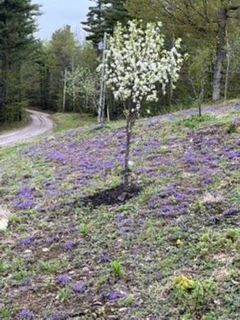 26.1 Acres of Recreational Land with Home for Sale in Canaan, New Hampshire