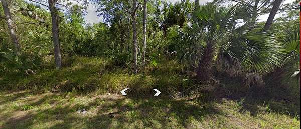 Residential Land for Sale in Palm Bay, Florida