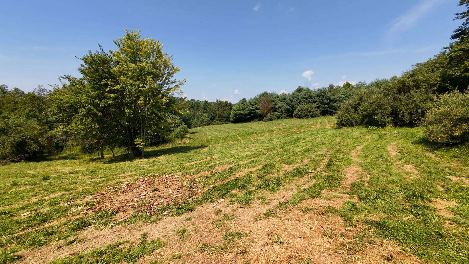 46.5 Acres of Land for Sale in Dexter City, Ohio