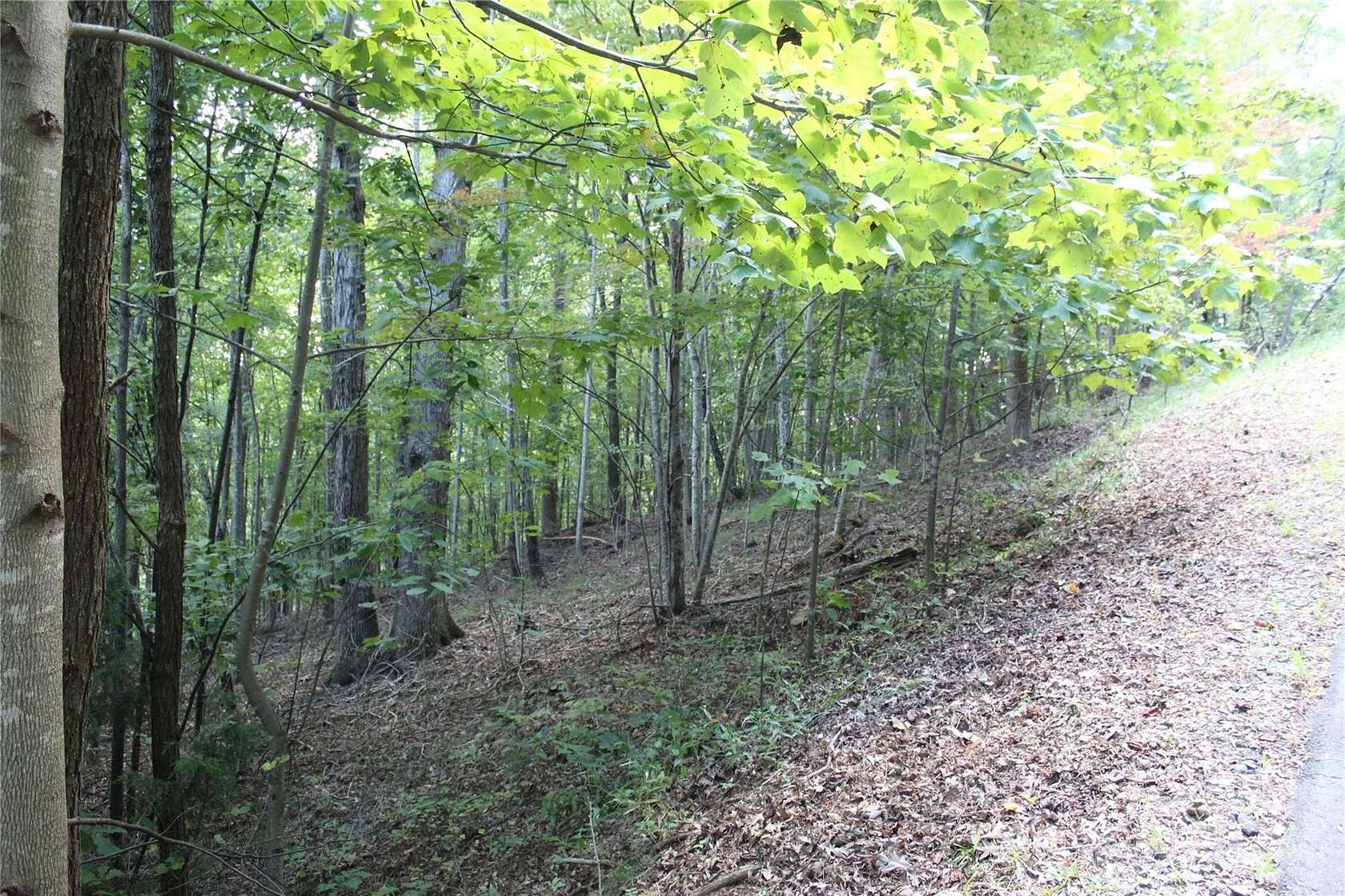 4 Acres of Residential Land for Sale in Bostic, North Carolina