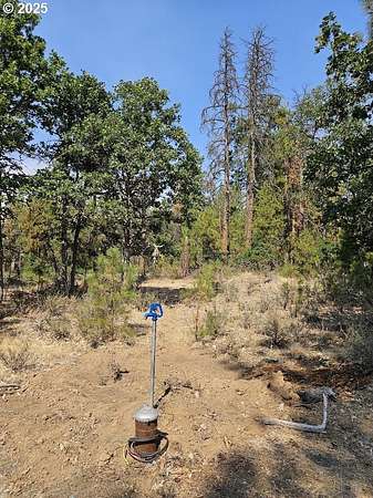 5 Acres of Land for Sale in Goldendale, Washington