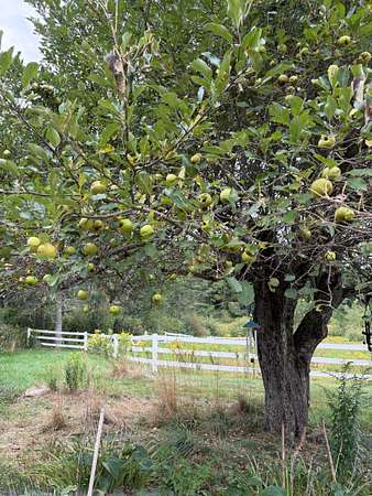 6 Acres of Land with Home for Sale in Jaffrey, New Hampshire