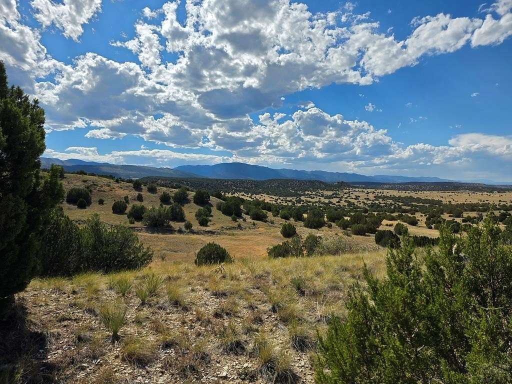 35.1 Acres of Recreational Land for Sale in Beulah, Colorado