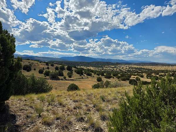 35.1 Acres of Recreational Land for Sale in Beulah, Colorado