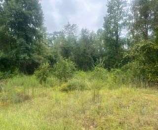 0.48 Acres of Residential Land for Sale in Lumberton, Mississippi