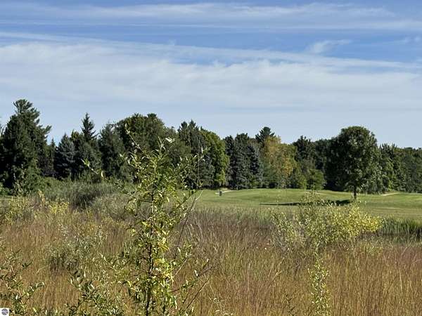 0.41 Acres of Residential Land for Sale in Williamsburg, Michigan