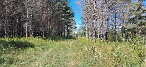 10.7 Acres of Recreational Land for Sale in Rapid River, Michigan