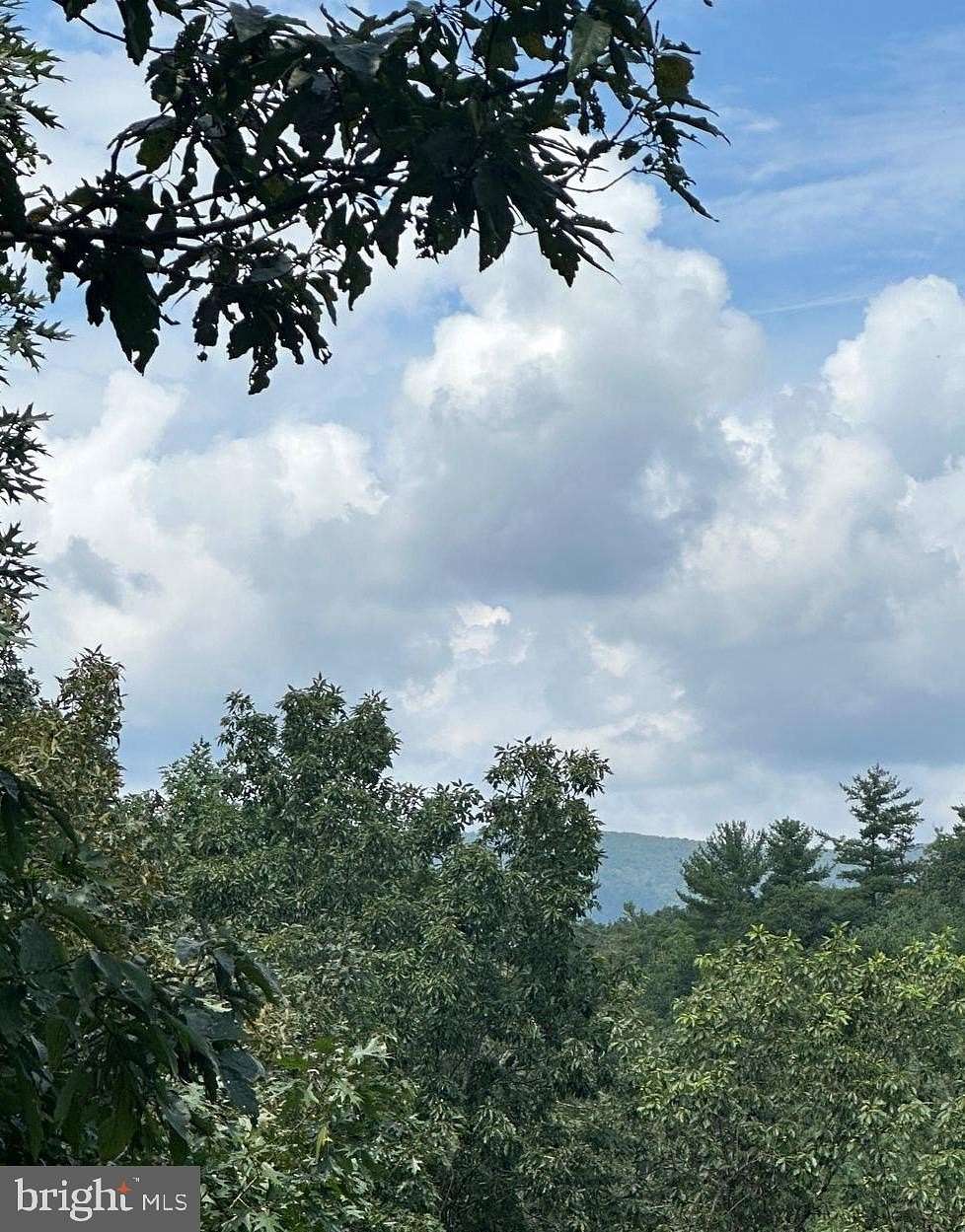 0.35 Acres of Residential Land for Sale in Basye, Virginia