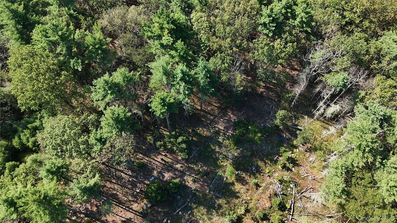 1.3 Acres of Residential Land for Sale in Wurtsboro, New York