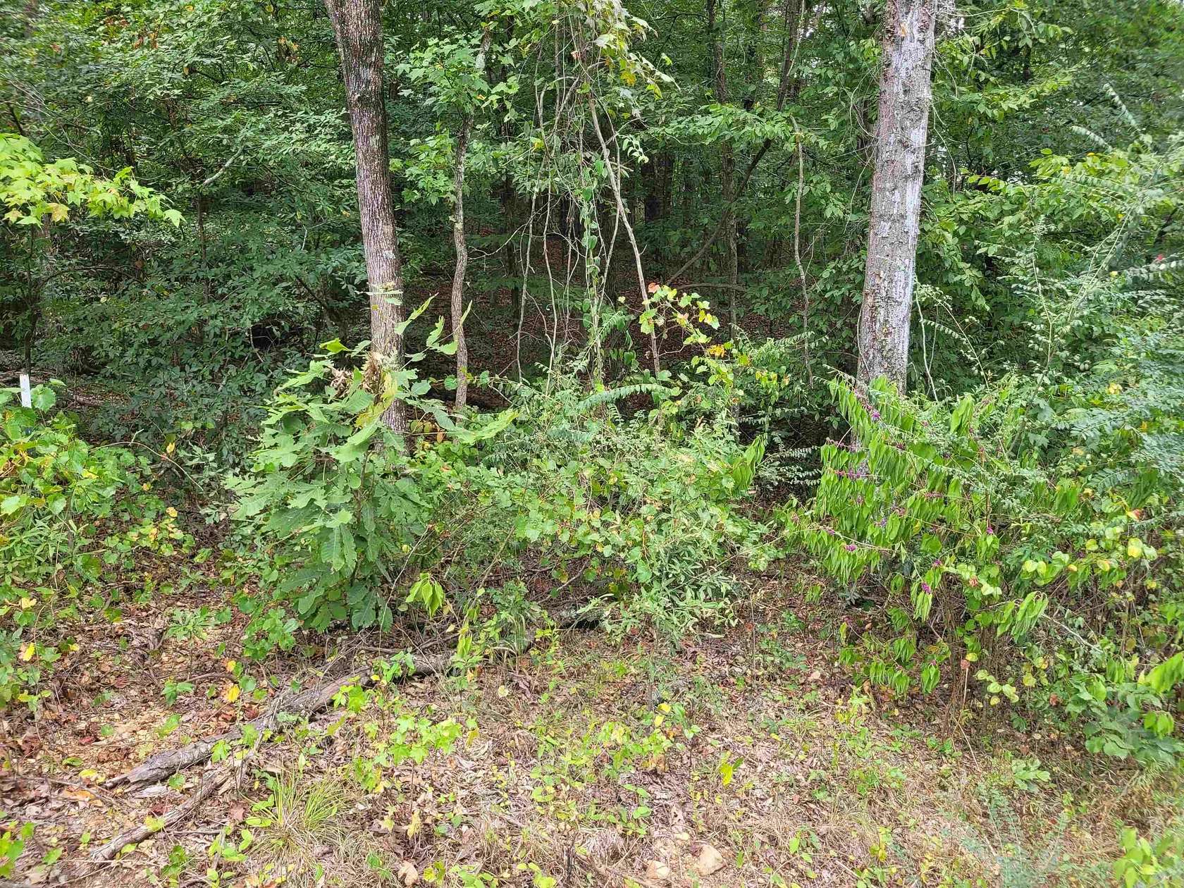 0.77 Acres of Residential Land for Sale in Savannah, Tennessee