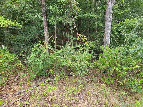 1.24 Acres of Residential Land for Sale in Savannah, Tennessee