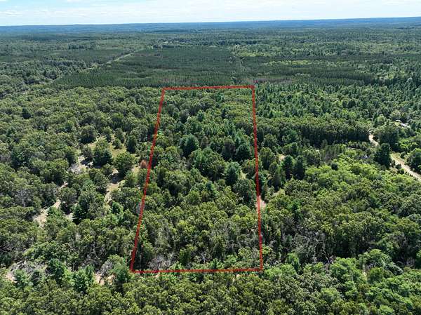 10.2 Acres of Recreational Land for Sale in White Cloud, Michigan
