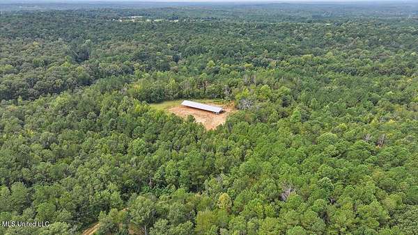 49 Acres of Recreational Land for Sale in Mendenhall, Mississippi