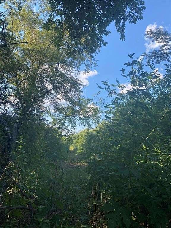 0.23 Acres of Land for Sale in Sulphur Springs, Texas