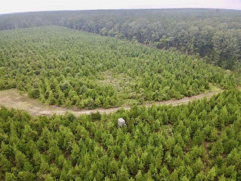 32.9 Acres of Recreational Land for Sale in Clarksville, Texas