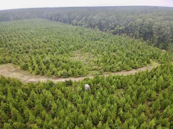 32.9 Acres of Recreational Land for Sale in Clarksville, Texas