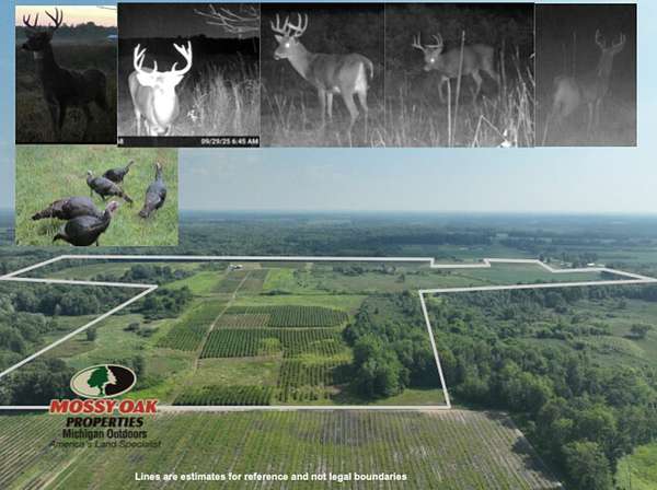 150 Acres of Recreational Land & Farm for Sale in Bangor, Michigan