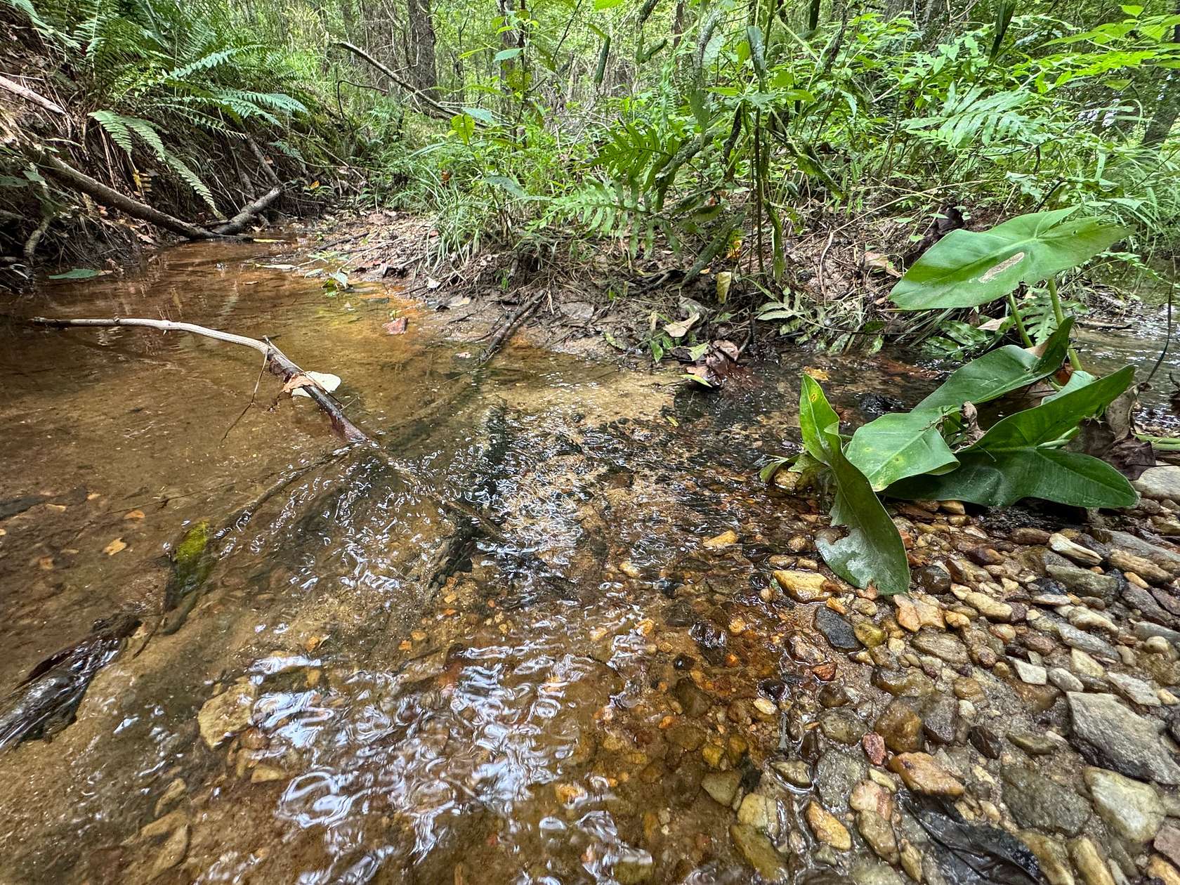 45 Acres of Recreational Land for Sale in Equality, Alabama