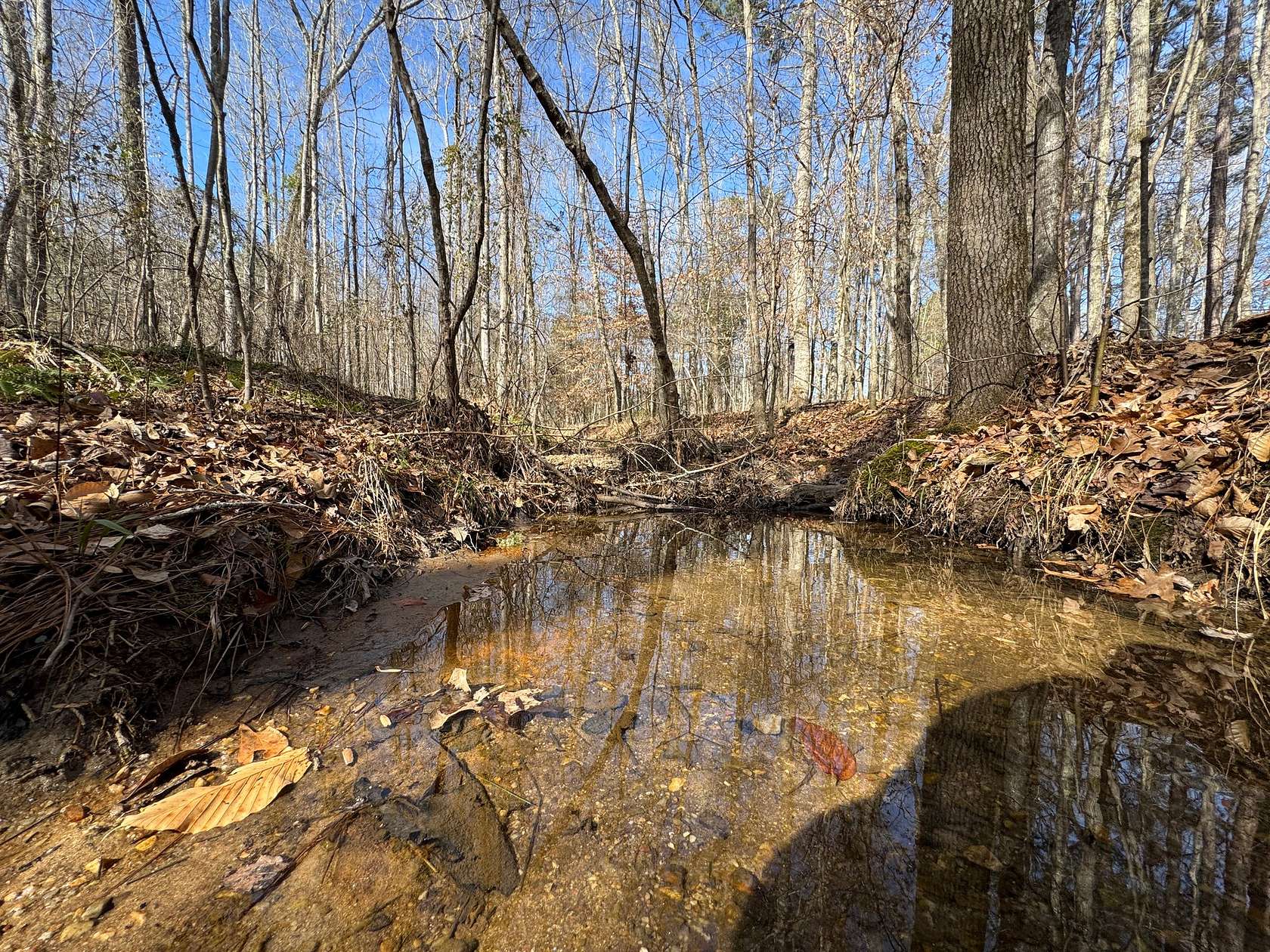 45 Acres of Recreational Land for Sale in Equality, Alabama