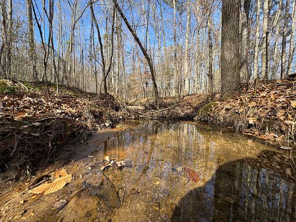 45 Acres of Recreational Land for Sale in Equality, Alabama