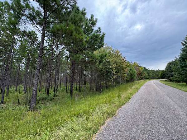 25.8 Acres of Recreational Land for Sale in Equality, Alabama
