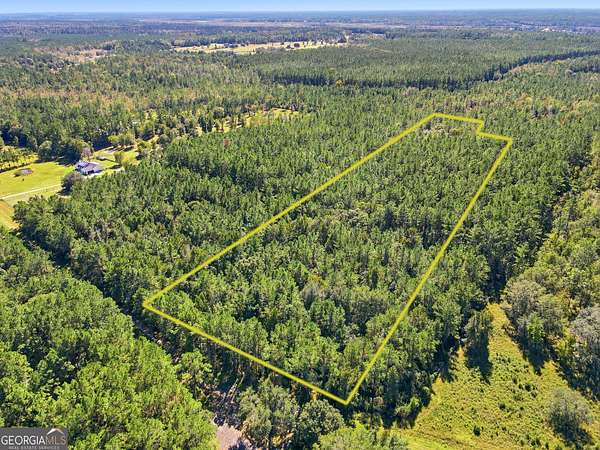 10.6 Acres of Land for Sale in Waverly, Georgia