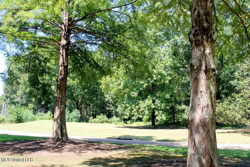 8.85 Acres of Residential Land for Sale in Madison, Mississippi