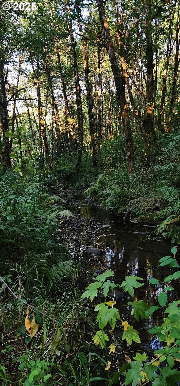 31.3 Acres of Agricultural Land with Home for Sale in Yankton, Oregon