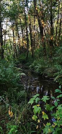 31.3 Acres of Agricultural Land with Home for Sale in Yankton, Oregon