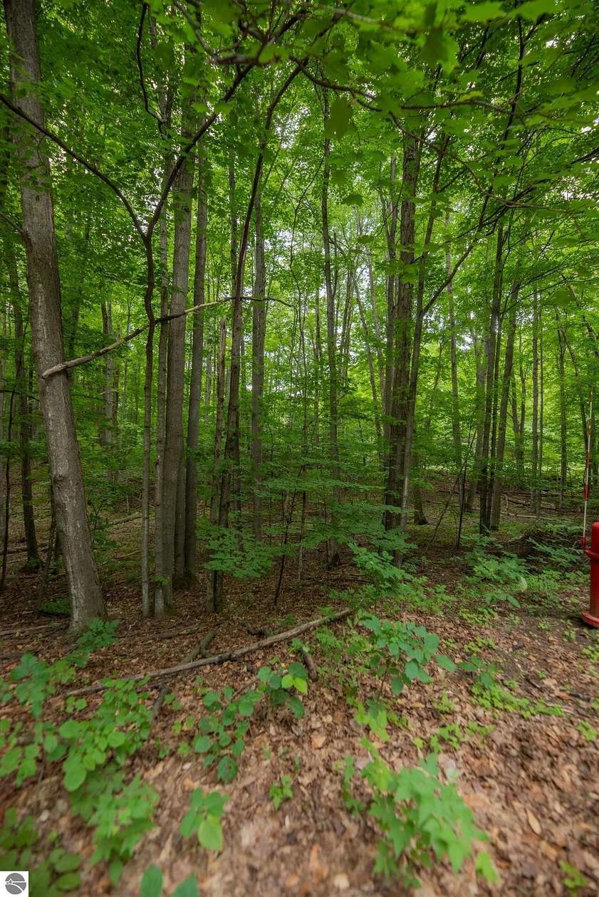 0.75 Acres of Land for Sale in Bellaire, Michigan