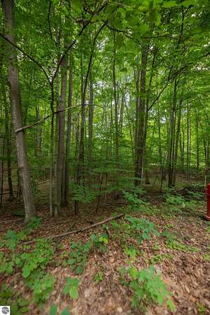 0.75 Acres of Land for Sale in Bellaire, Michigan