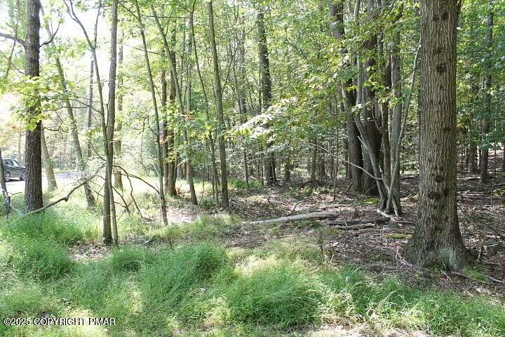 0.26 Acres of Residential Land for Sale in Pocono Lake, Pennsylvania