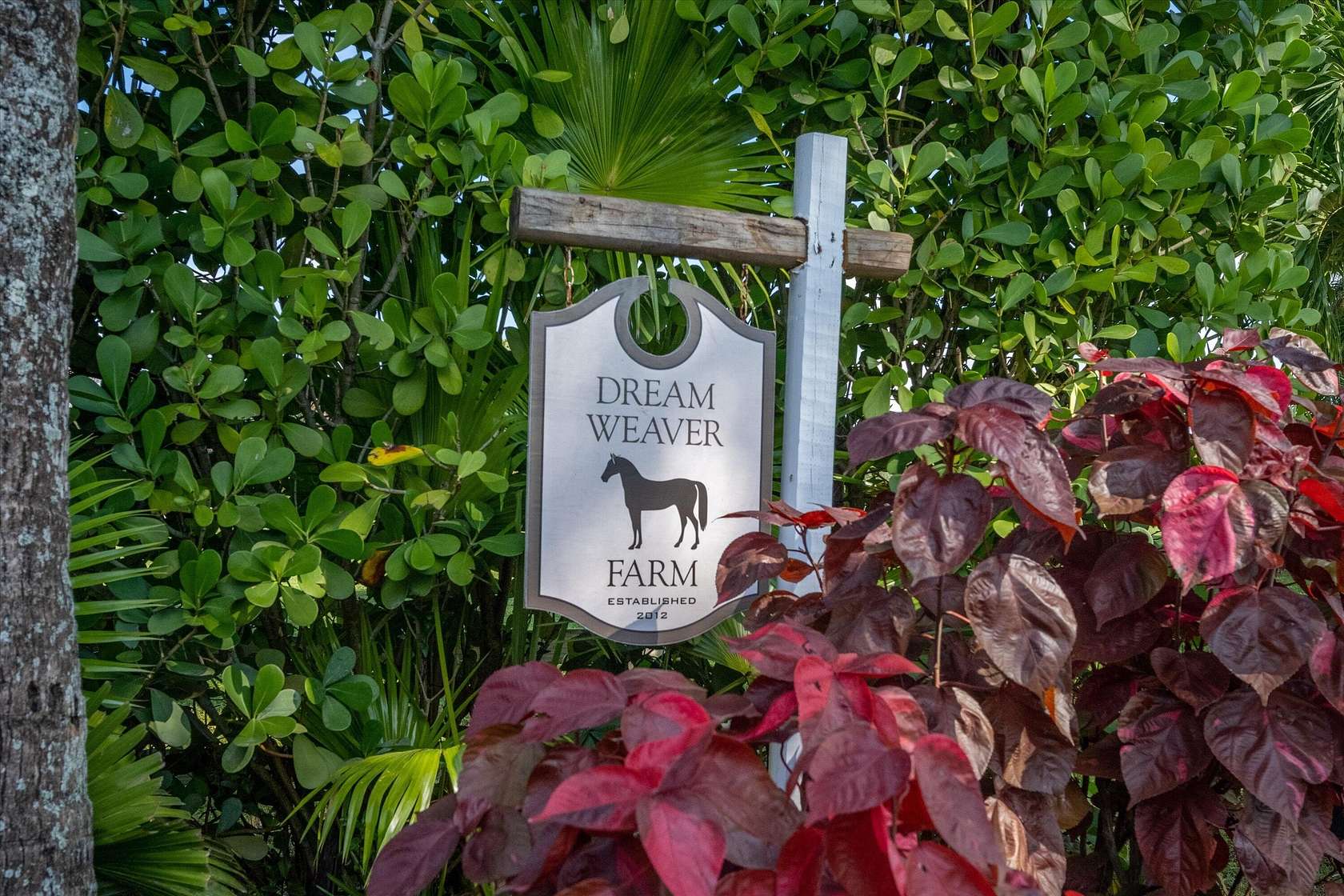 10 Acres of Improved Land for Lease in Loxahatchee Groves, Florida