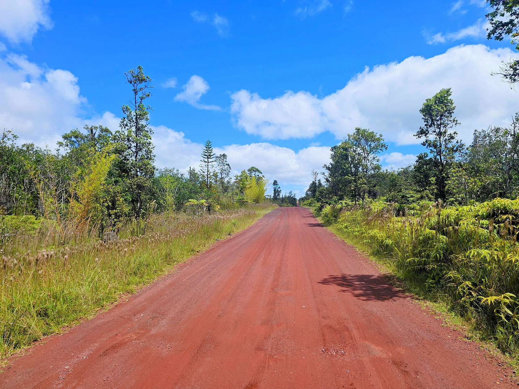 20 Acres of Recreational Land for Sale in Mountain View, Hawaii