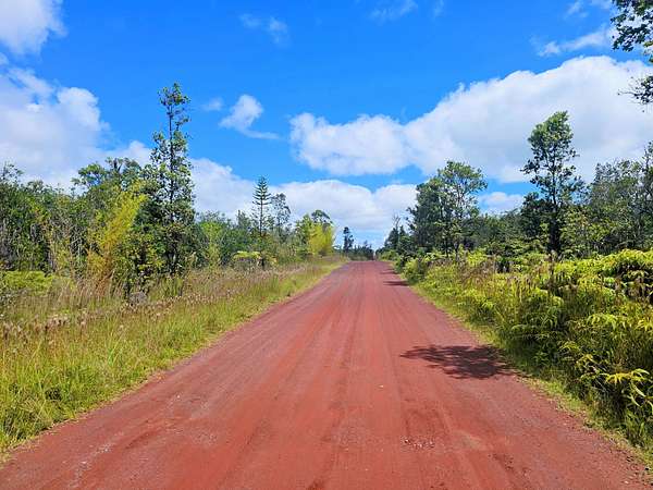 20 Acres of Recreational Land for Sale in Mountain View, Hawaii