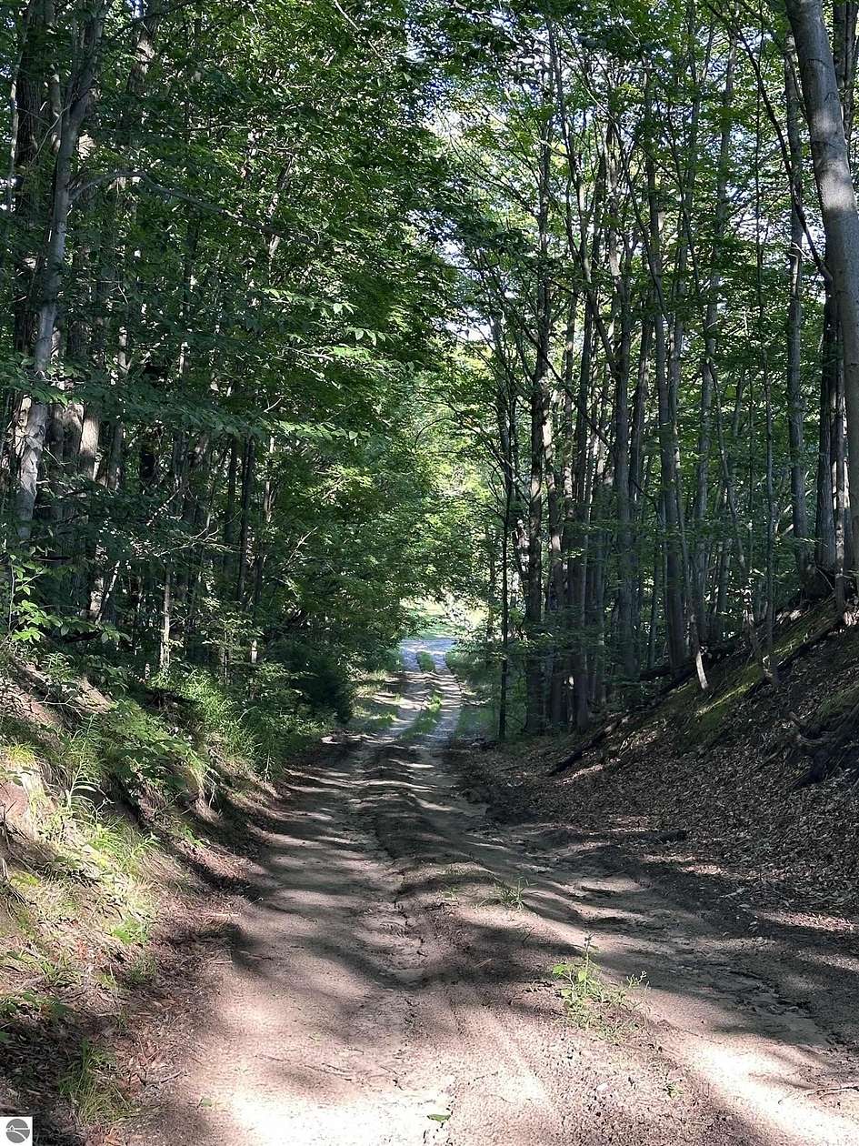 1.76 Acres of Land for Sale in Bellaire, Michigan