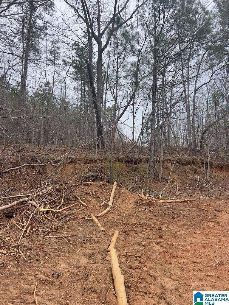 36 Acres of Land for Sale in Heflin, Alabama