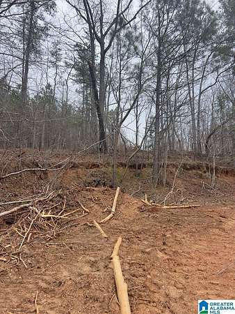 36 Acres of Land for Sale in Heflin, Alabama