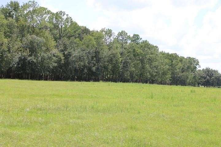 45.6 Acres of Agricultural Land for Sale in Clermont, Florida